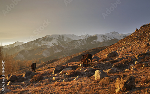 Kungoy Ala-Too ridge. Kyrgyzstan photo