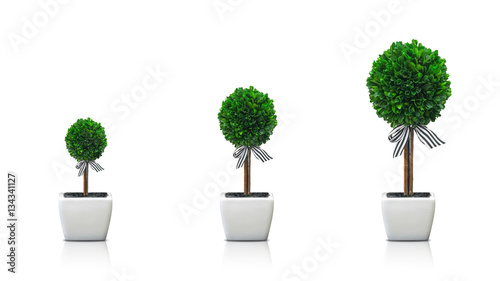 Growing plant concept