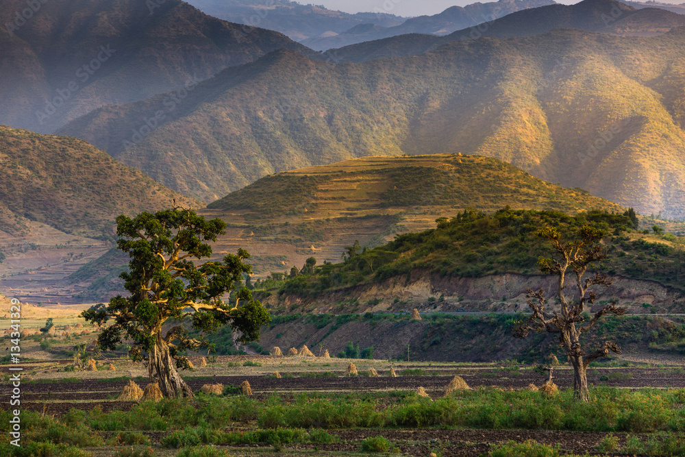 Fototapeta premium Landscape between Dessie and Lake Hayq