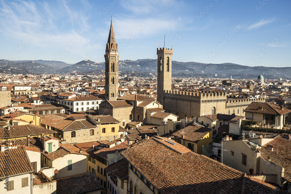 Florence, Italy. Cityscape with Palazzo Vecchio
