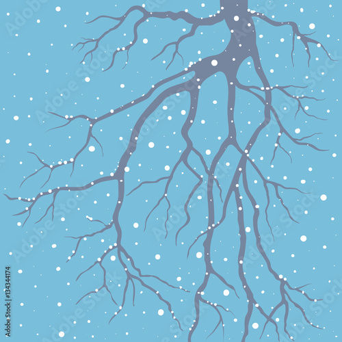 winter background with a branch
