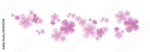 Purple flying flowers isolated on white. Sakura flowers. Cherry blossom. Vector 
