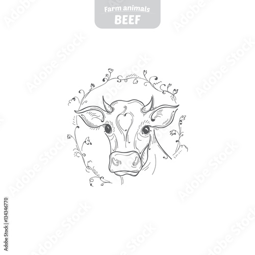 Head pattern cow in a graphic style, hand-drawn vector illustration.