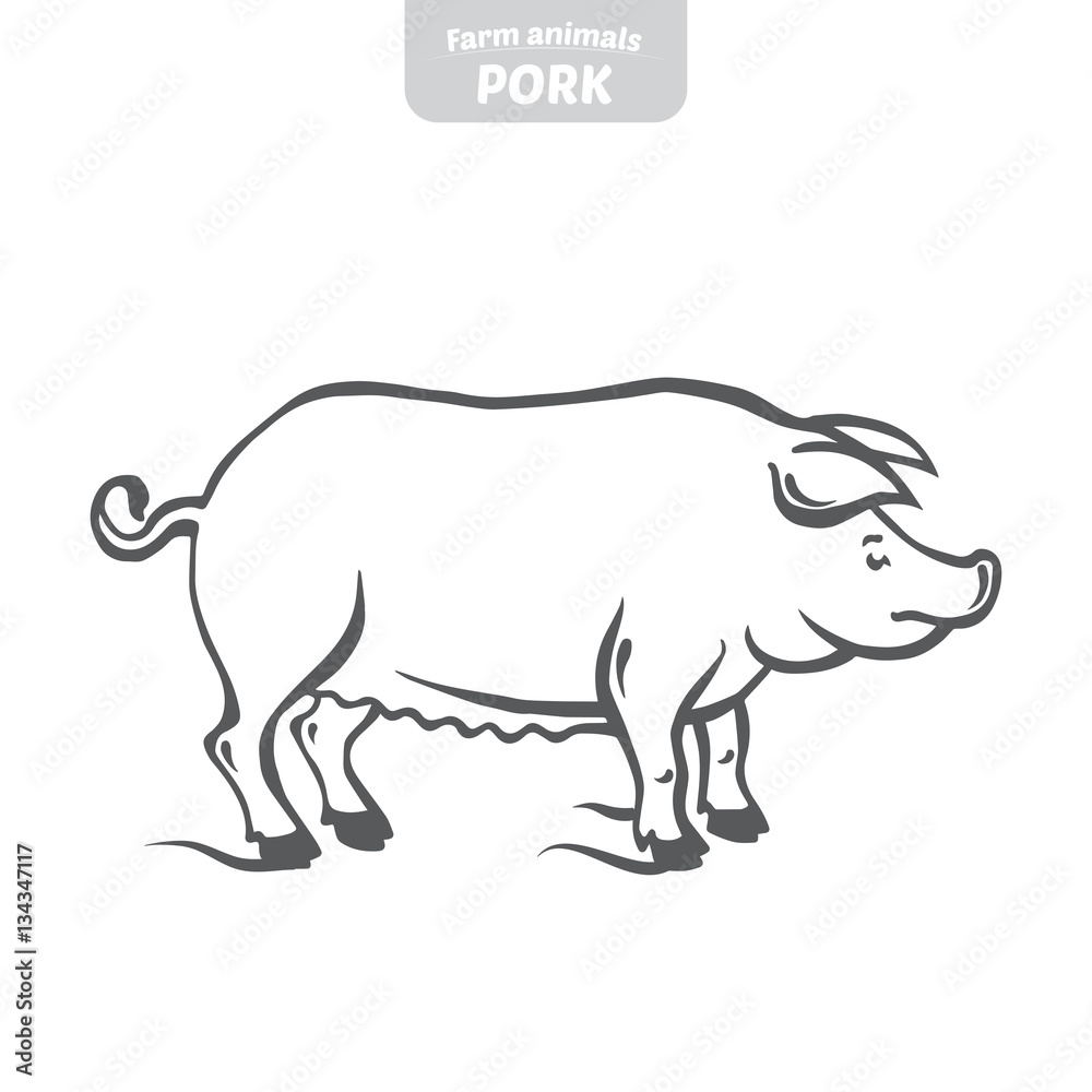 Pig hand-drawn vector illustration. Pig hand-drawn vector illustration.