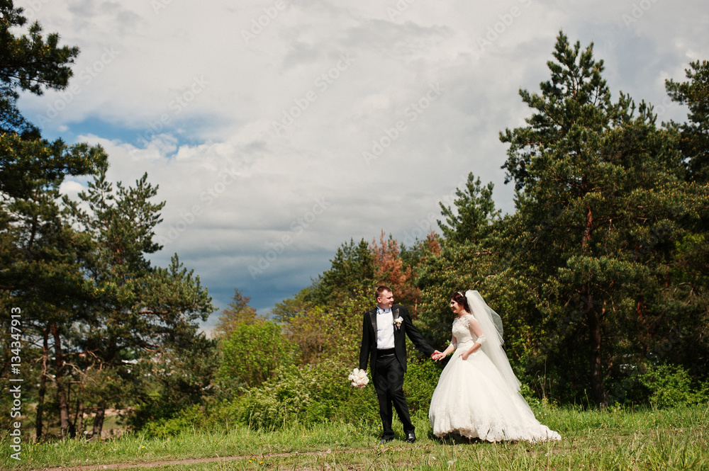 Elegance wedding couple at their day background pine forest. Hap