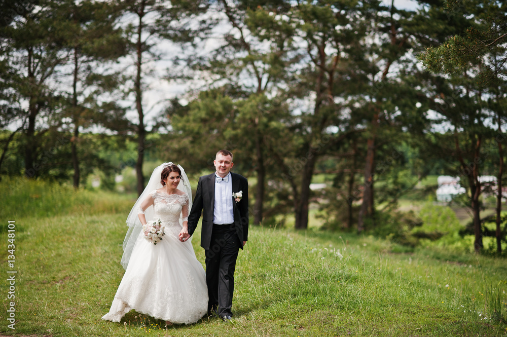 Elegance wedding couple at their day background pine forest. Hap
