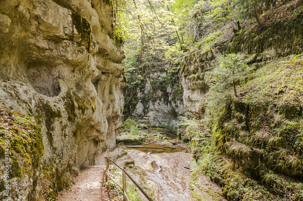 Twann, Twannbachschlucht, Schlucht, Weindorf, Twannberg, Wanderweg, Felswände, Naturweg, Herbst, Herbstwanderung, Jura, Schweiz