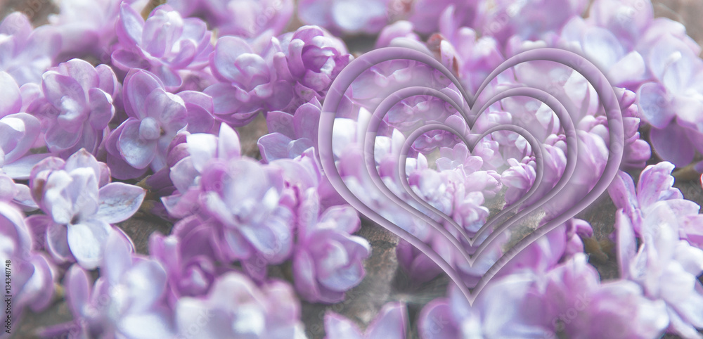 Fototapeta premium lilac flowers on a table
