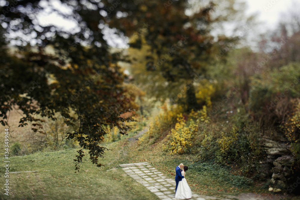 Stylish wedding couple stands on path in autumn park