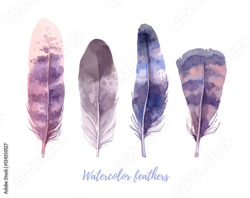 Hand drawn vector illustration - Watercolor feathers collection. Aquarelle boho set. Isolated on white background. Perfect for invitations, greeting cards, posters, prints © Kate Macate