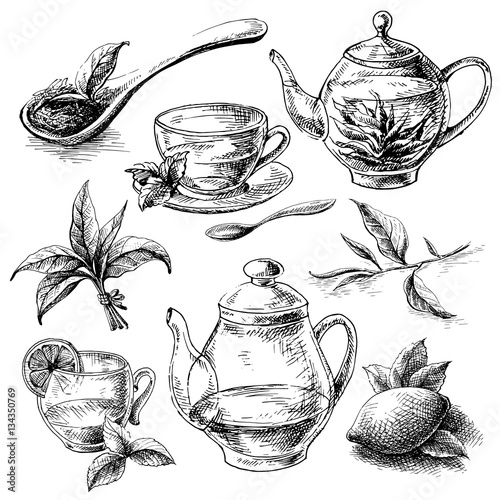 tea collection elements in graphic style, hand-drawn vector illustration.