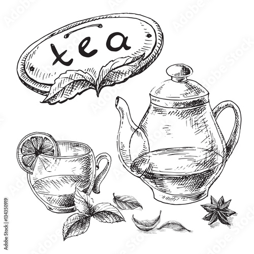 tea collection elements in graphic style, hand-drawn vector illustration.