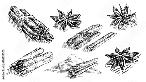 cinnamon, coffee, anise in graphic style