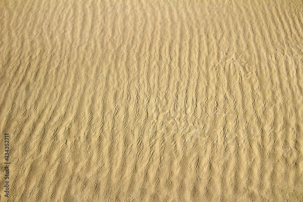 Abstract background of sand. Sand waves. Abstract background of sand. Sand waves.