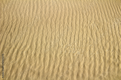 Abstract background of sand. Sand waves.