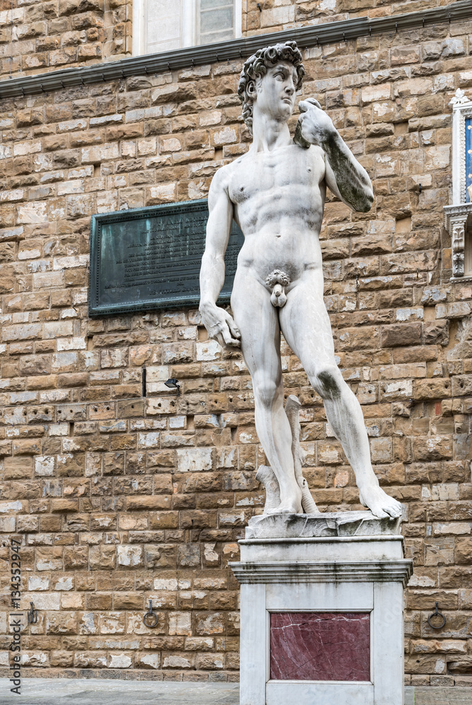 Michelangelo's David in Florence, Tuscany - Italy
