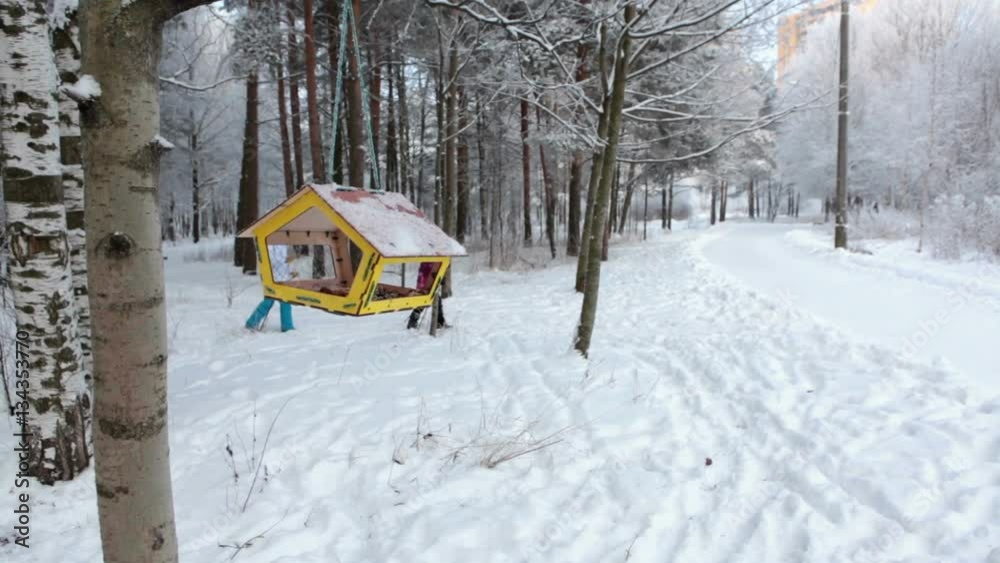 Eight years old girl and her adult mom skiing in winter snowy park, Russia. Bird feeder hanging on tree
Eight years old girl and her adult mom skiing in winter snowy park, Russia. Bird feeder hanging on tree