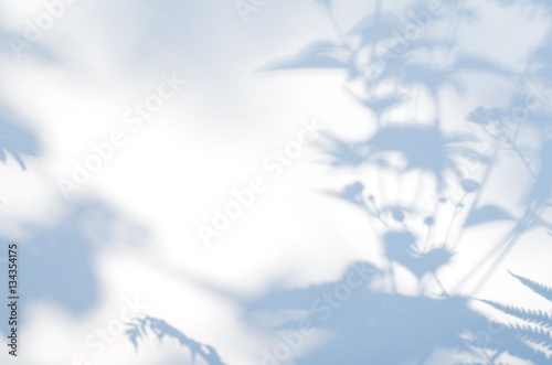 Shadows of flowers on a white semi-transparent cloth