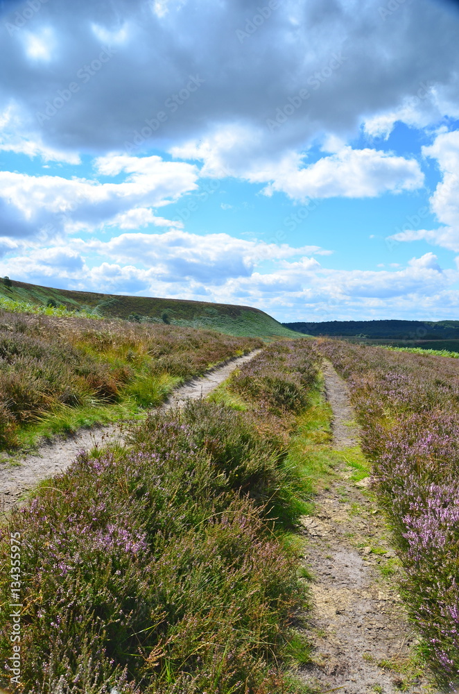 North Yorkshire Moors Track