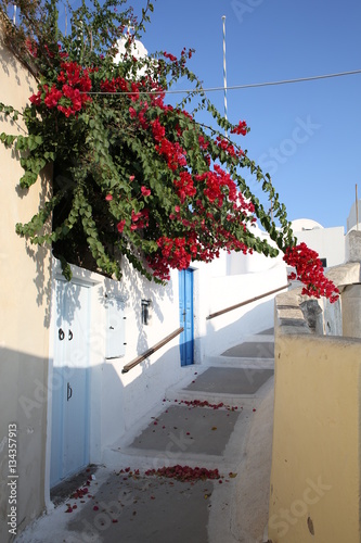 Fototapeta Naklejka Na Ścianę i Meble -  Lane in Megalochori, Santorini Island, Greece