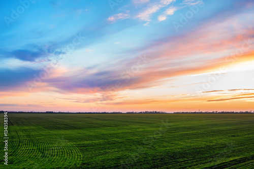 Sunrise in steppe