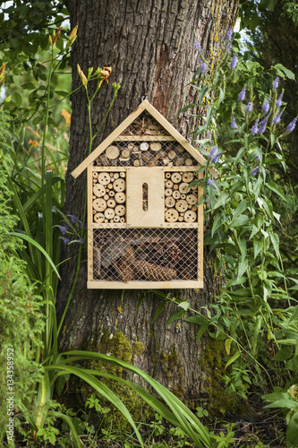 Insect house in the garden, protection for insects, insecten hotel.