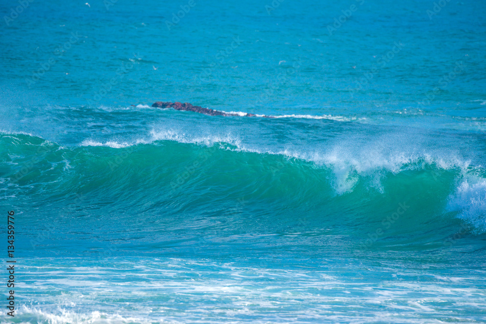 Obraz premium Beautiful sea wave