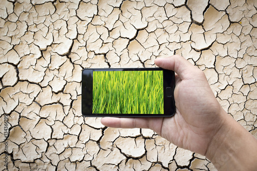 A hand holding a smartphone displaying green grass on a dry and cracked earth background as environmental and technological concept
