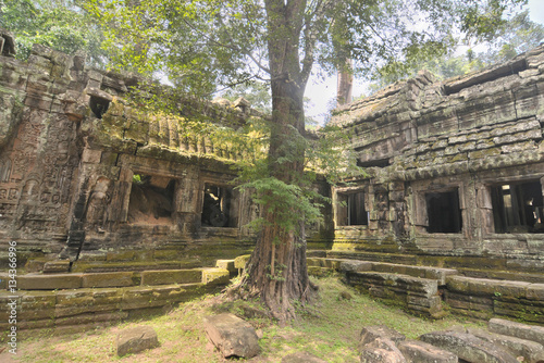 Ta Prohm  -  the temple at Angkor, Siem Reap Province, Cambodia
