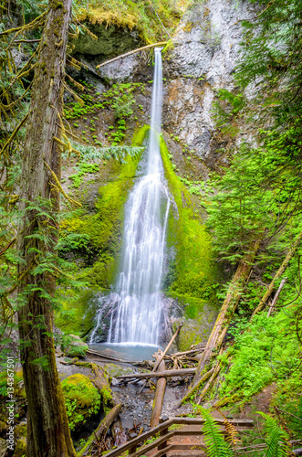 Marymere Falls, Olympic National Park