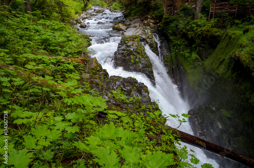 Sol Duc Falls  Olympic National Park