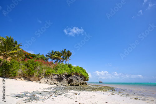 Tropical beach in Zanzibar, Tanzania
