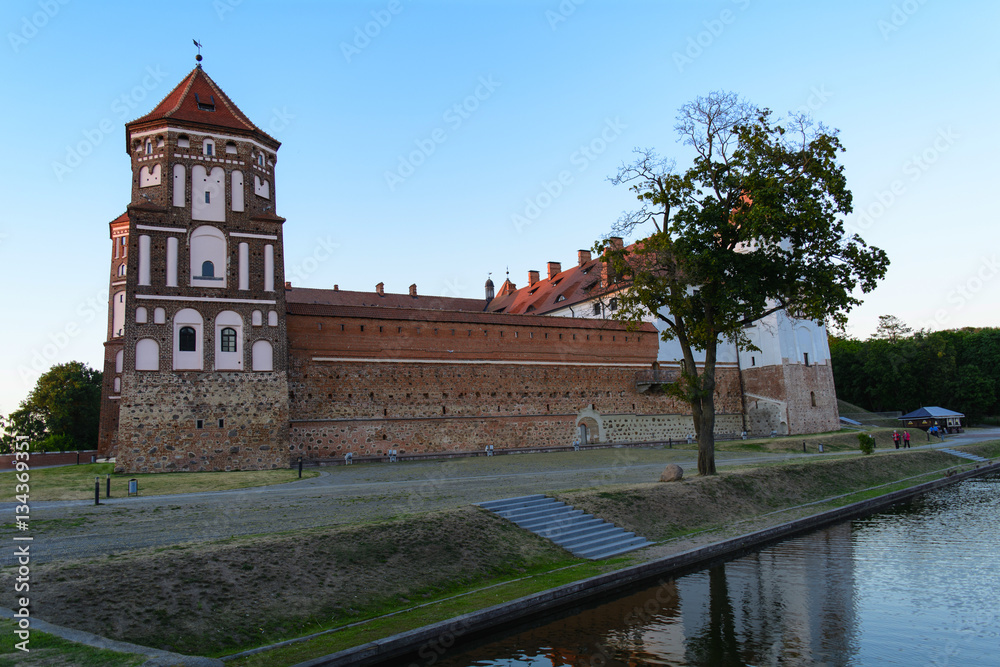 Fototapeta premium Castle Complex 