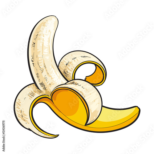 One open, peeled ripe banana, sketch style vector illustration isolated on white background. Realistic hand drawing of banana open, peeled in traditional way