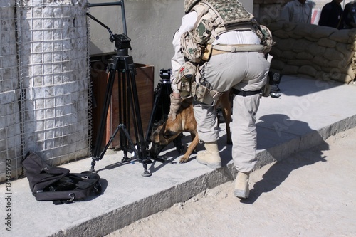 Sniffer Dog in Afghanistan