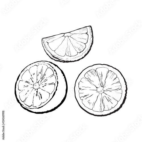 Set of realistic colorful hand drawn half, slice and segment of ripe, juicy orange, sketch vector illustration isolated on white background. Hand drawing of orange cut in half, sliced and segmented