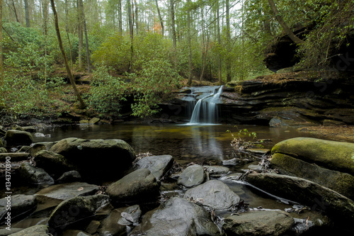 forest and waterfall in South Carolina