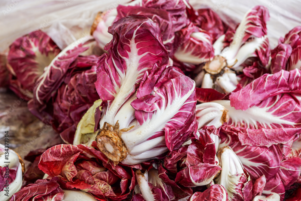 At the vegetable market, in Italy - Some plants of Radicchio di Treviso chicory , a typical italian cultivar. At the vegetable market, in Italy - Some plants of Radicchio di Treviso chicory , a typical italian cultivar.
