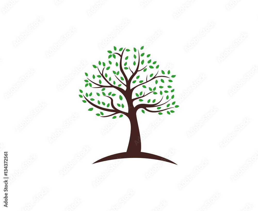 Tree logo Tree logo