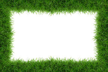 Grass frame isolate on white background.