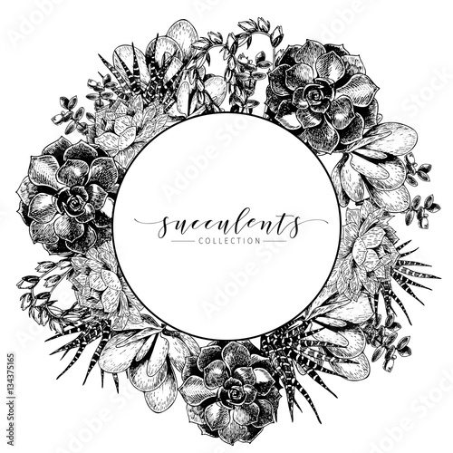 Vector hand drawn succulent wreath. Monocrome engraved vintage style art. Round bodred composition.