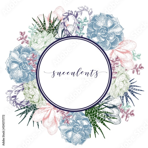 Vector hand drawn succulent wreath. Colorfull engraved vintage style art. Round bodred composition.