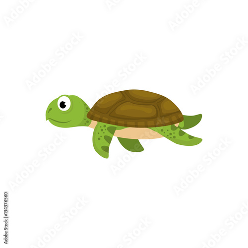 Marune turtle animal icon vector illustration graphic design