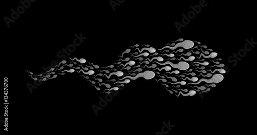 Sperm flock