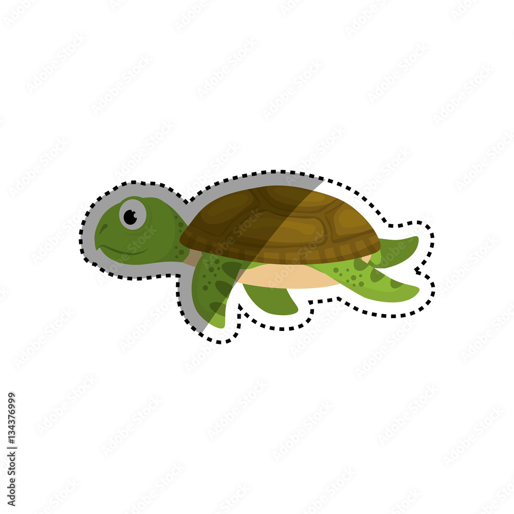 Obraz premium Marune turtle animal icon vector illustration graphic design
