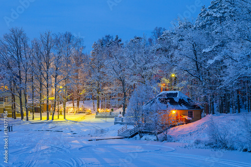 Snowy winter scene of illuminaned cottages in foresr near frozen lake © yegorov_nick