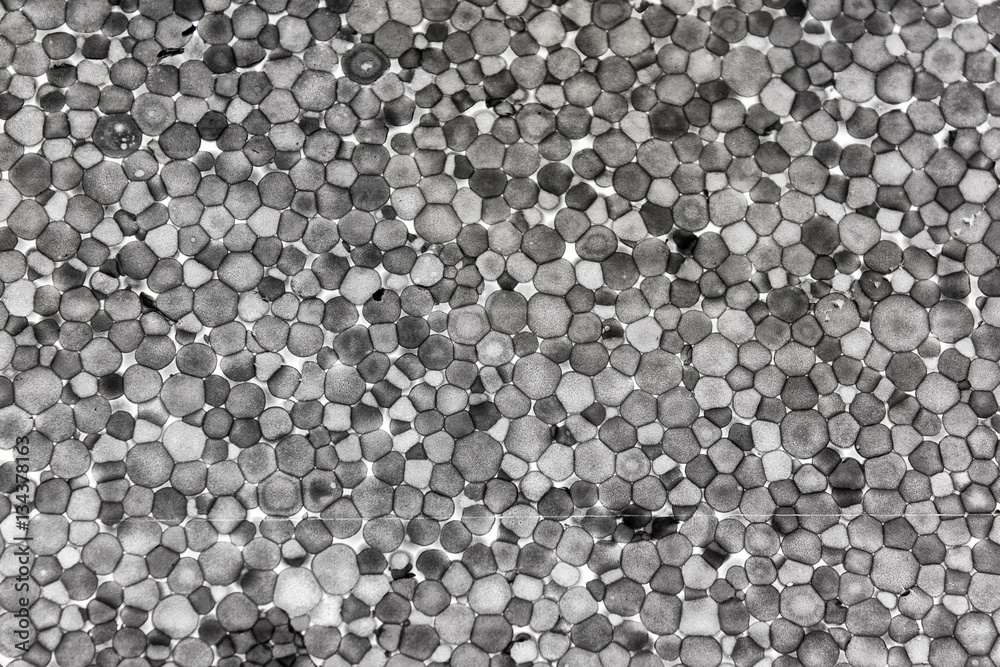 Internal pattern of a slice of thermal insulating styrofoam photographed on light panel. Structure of polystyrene plastic. Internal pattern of a slice of thermal insulating styrofoam photographed on light panel. Structure of polystyrene plastic.