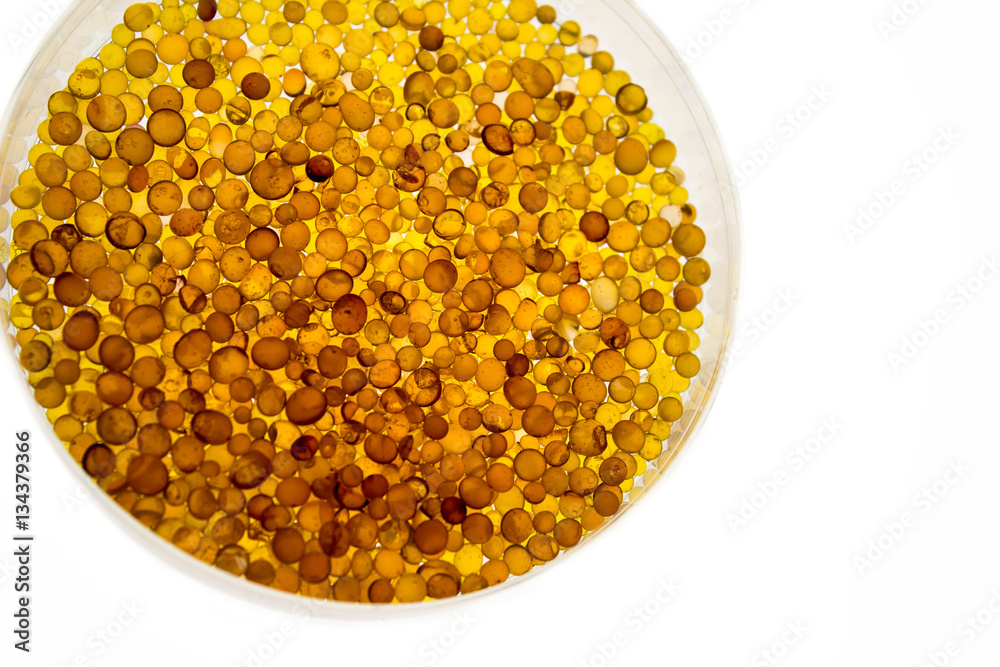 Anhydrous dry silica gel beads doped with a moisture indicator