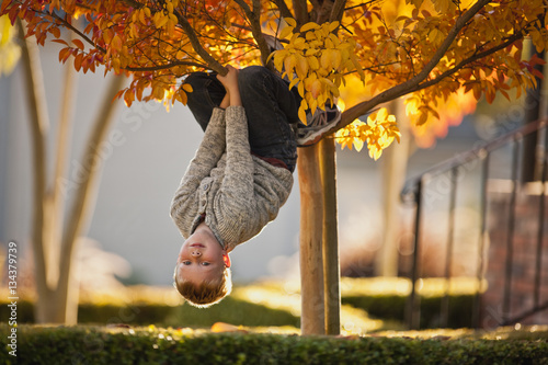 Boy hanging upside down from the tree.