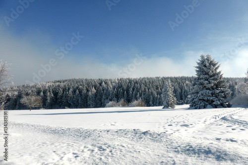 Schneelandschaft Altenberg Erzgebirge © hclmel